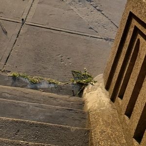 Meet your Posher, Steven